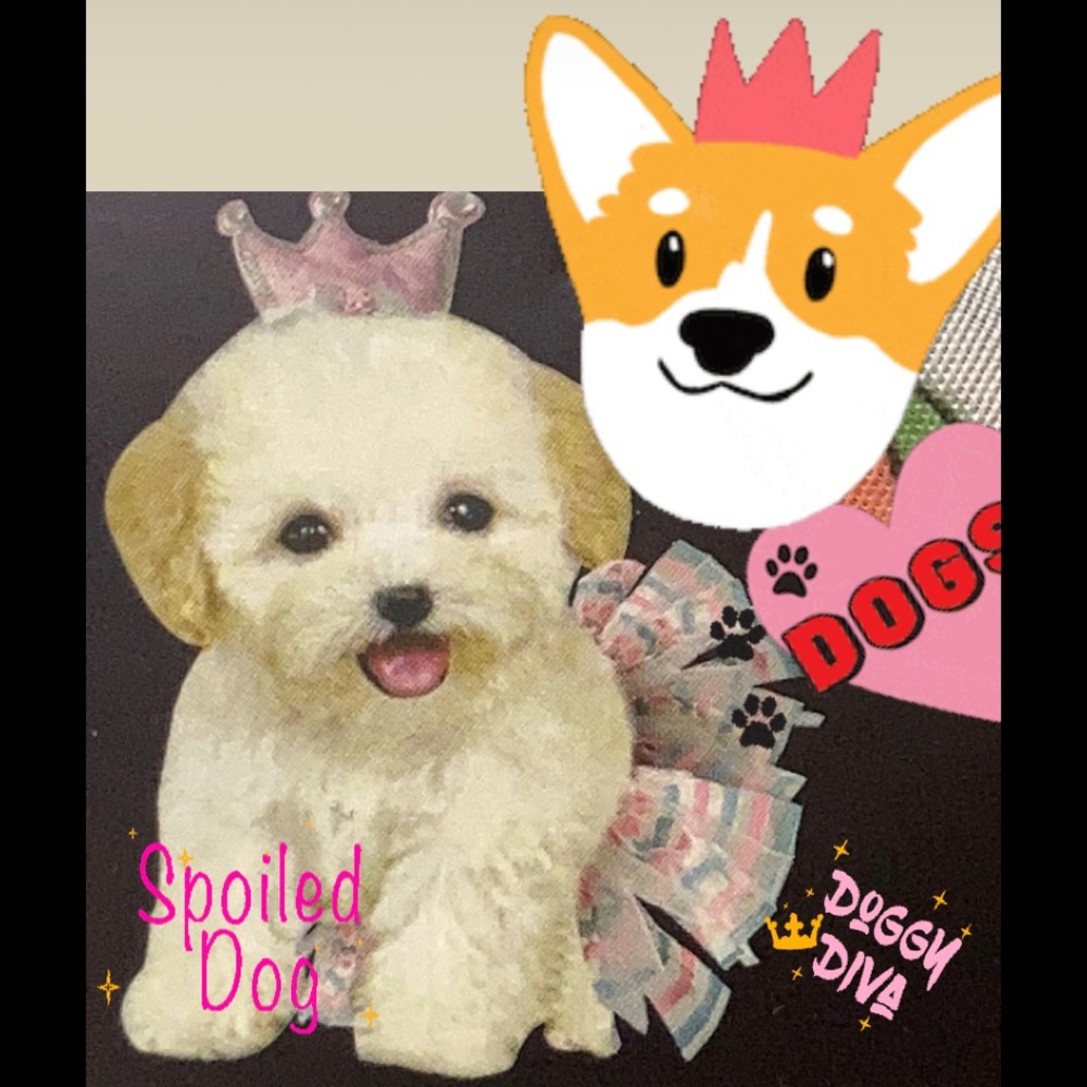 Instant Pet Princess Tutu Dog costume